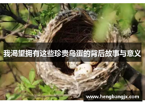 我渴望拥有这些珍贵鸟蛋的背后故事与意义